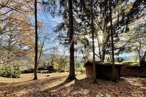 Außengelände mit Grillplatz