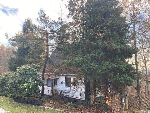 Lauter-Bernsbach Häuser, Lauter-Bernsbach Haus kaufen