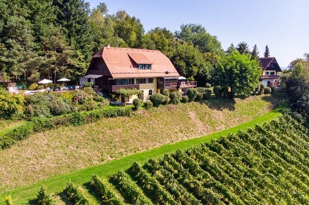 Ansicht Haupt- und Gästehaus inkl. Weingarten 