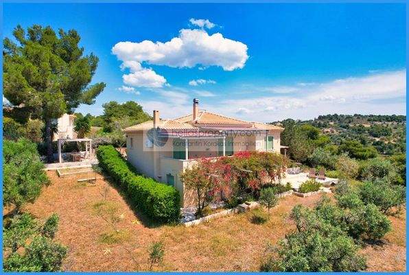 5630e786ff194c888f0bfb3bb4bdfd3e-original