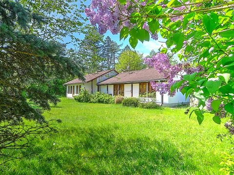 Planegg Häuser, Planegg Haus kaufen
