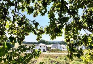 Ihre Nachbarn fühlen sich schon wohl.jpg