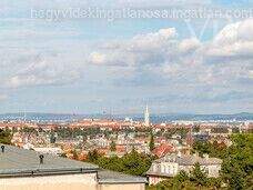 33786115_226795329_m