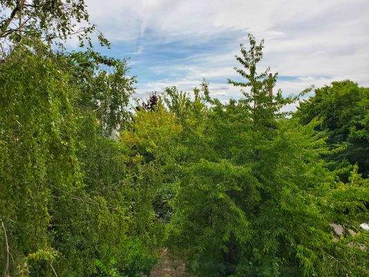 Ausblick Schlafzimmer.jpg