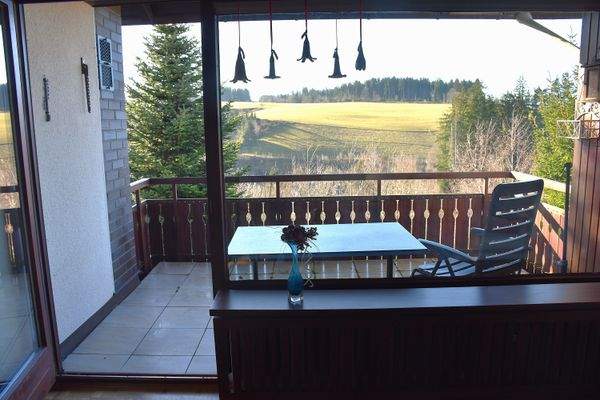 Aussicht auf Wald und Grün