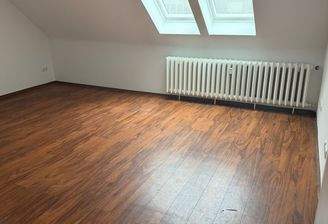 Wohn-und Schlafzimmer