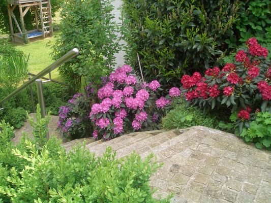 Treppe zum Garten