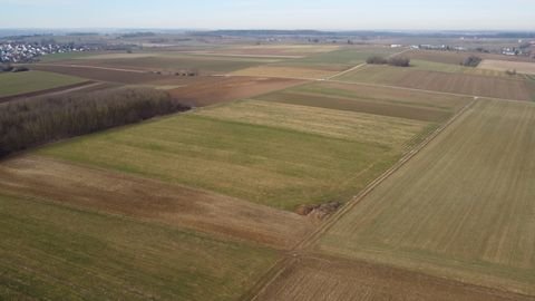 Rammingen Bauernhöfe, Landwirtschaft, Rammingen Forstwirtschaft