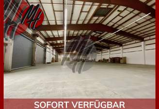 INFOS UNTER: 06171-586000