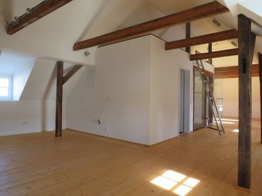 DG Studio