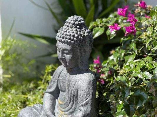 Ankommen - wohlfühlen - Kraft tanken