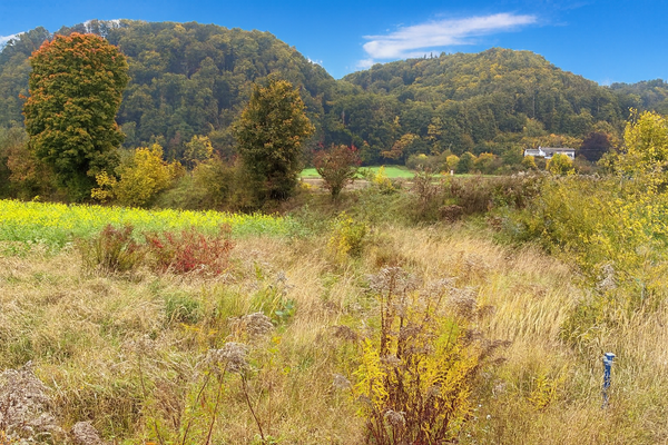 ChatGPT Image 11. Okt. 2025, 21_07_38.png