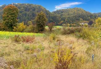 ChatGPT Image 11. Okt. 2025, 21_07_38.png