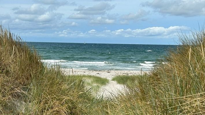 Blick über die Düne