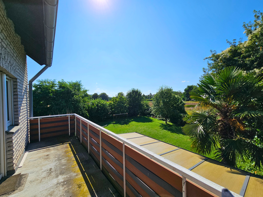 Balon 02 - Blick in den Garten.png