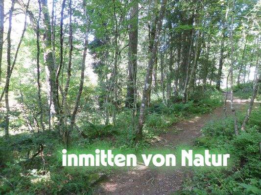 Impressionen vom Grundstück