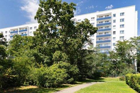 Halle (Saale) Wohnungen, Halle (Saale) Wohnung mieten