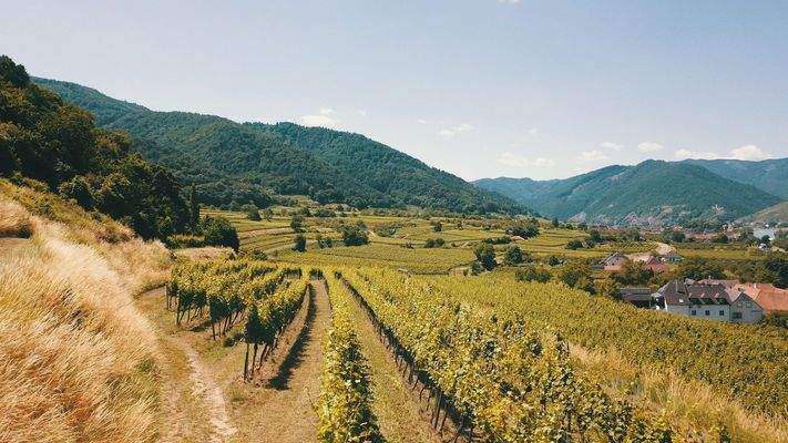 Blick Richtung Westen