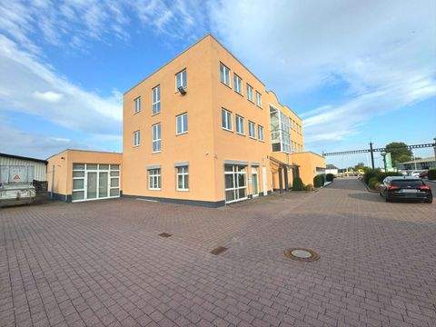 Rodenbach Halle, Rodenbach Hallenfläche