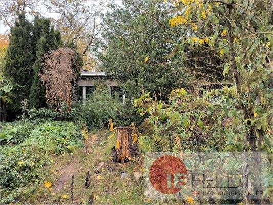 Blick durch den Garten