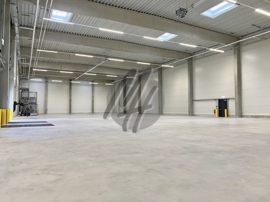 INFOS UNTER: 06171-586000