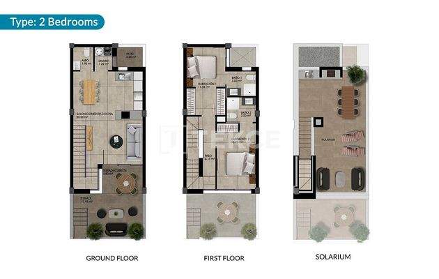 Contemporary Townhouses with Rooftop Solariums in Dolores