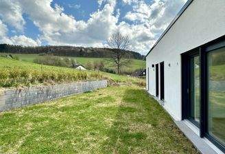 rückseitiger Garten