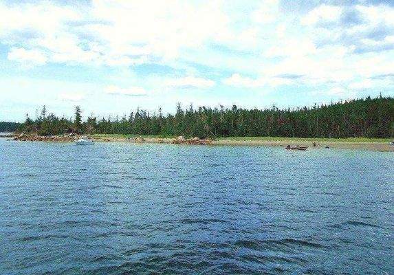 Sandstrand in der Nähe