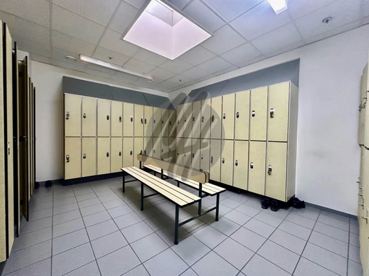 INFOS UNTER: 06171-586000