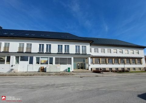 Salzburg Halle, Salzburg Hallenfläche