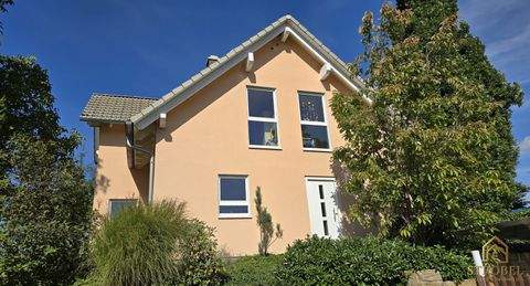 Dresden Häuser, Dresden Haus kaufen