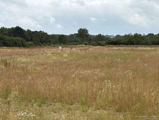 Hier könnte Ihr Grundstück sein!