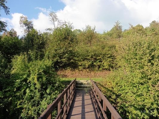 Holzsteg zur Terrasse