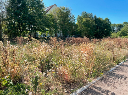 Flair 134 Novo - Vorschau Grundstück