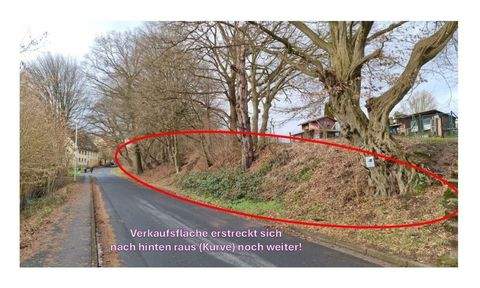 Uslar Bauernhöfe, Landwirtschaft, Uslar Forstwirtschaft