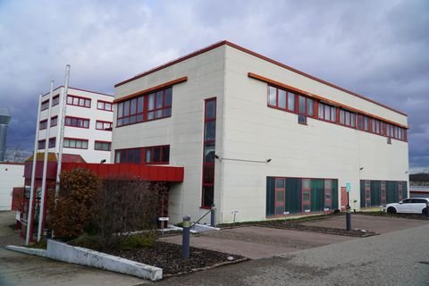 Heilbronn Halle, Heilbronn Hallenfläche
