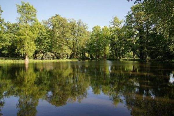 Impressionen aus Krumke - Parkteich