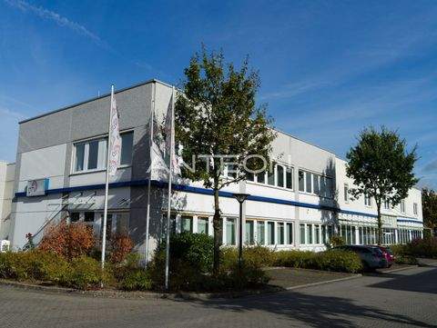 Dormagen Halle, Dormagen Hallenfläche