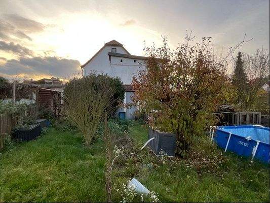 Garten - Blick Richtung Haus