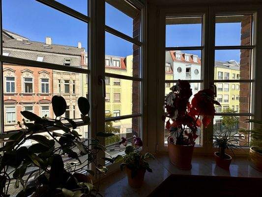 Blick aus dem Wohnzimmer