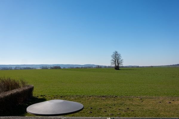 Wiese soweit das Auge reicht