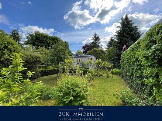 Albrecht-Dürer 22 010