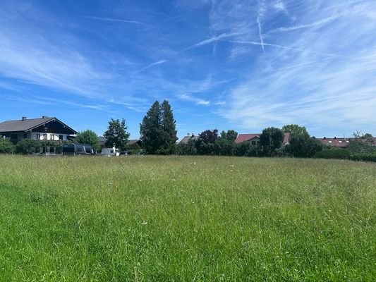 Impressionen vom Grundstück mit Blick in Richtung Norden