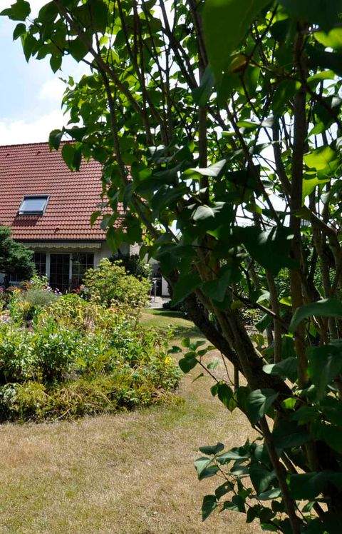Borna Häuser, Borna Haus kaufen