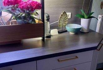 Pflanz-/Lichteinheit