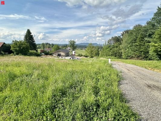 Grundstück mit Zufahrtsweg geschottert