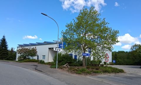 Süderbrarup Halle, Süderbrarup Hallenfläche