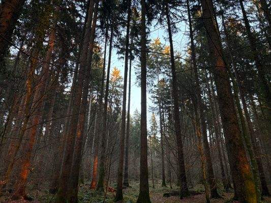 2025-12-10 16.00.45.jpg