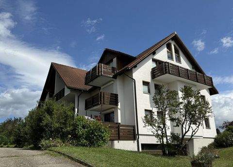 Ühlingen-Birkendorf Wohnungen, Ühlingen-Birkendorf Wohnung kaufen