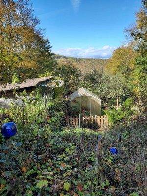 Gewächshaus und Schuppen